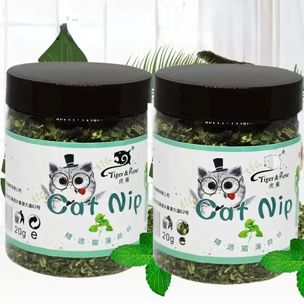 Two glass jars of Cat Nip product with black lids and green dried herbs, set against a white background.