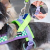 A dog wearing a purple harness and leash set with a green collar, showing an inset of the adjustable clip.