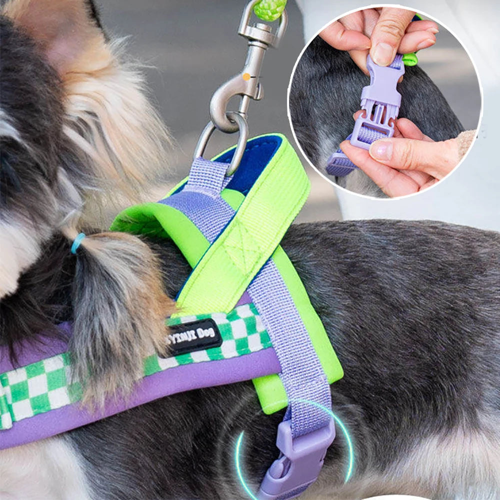 A dog wearing a purple harness and leash set with a green collar, showing an inset of the adjustable clip.