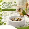A lightweight pumice integrated bird feeder bowl with a grinding surface holding seeds, next to a small parrot.