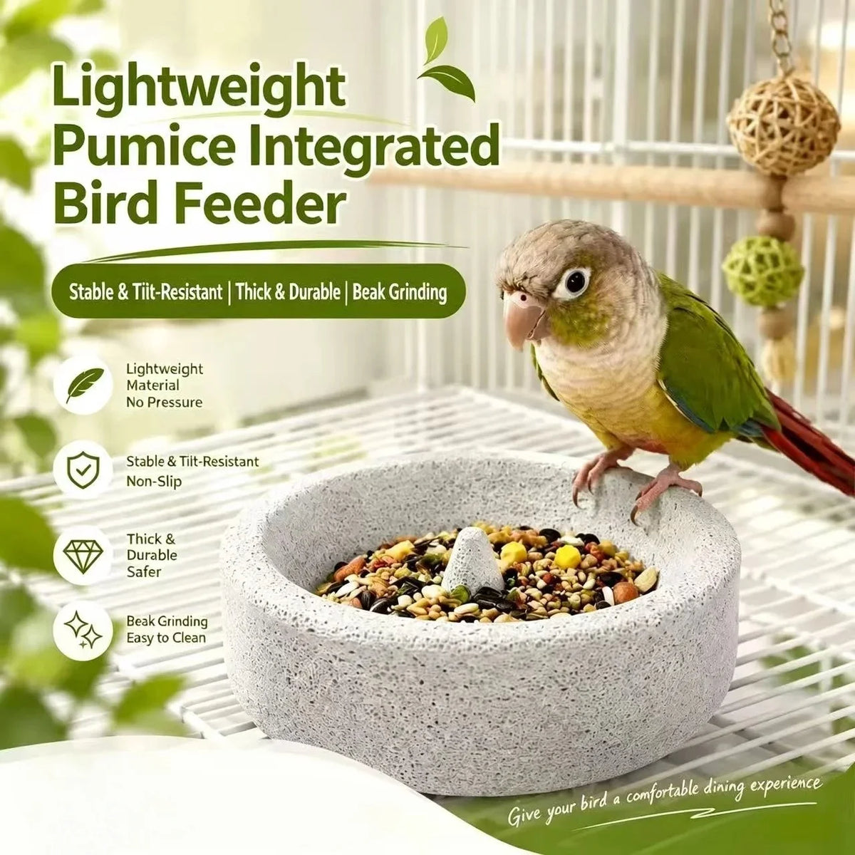 A lightweight pumice integrated bird feeder bowl with a grinding surface holding seeds, next to a small parrot.