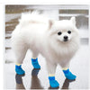 A white fluffy dog wearing bright blue waterproof anti-slip socks walking on a wet surface.
