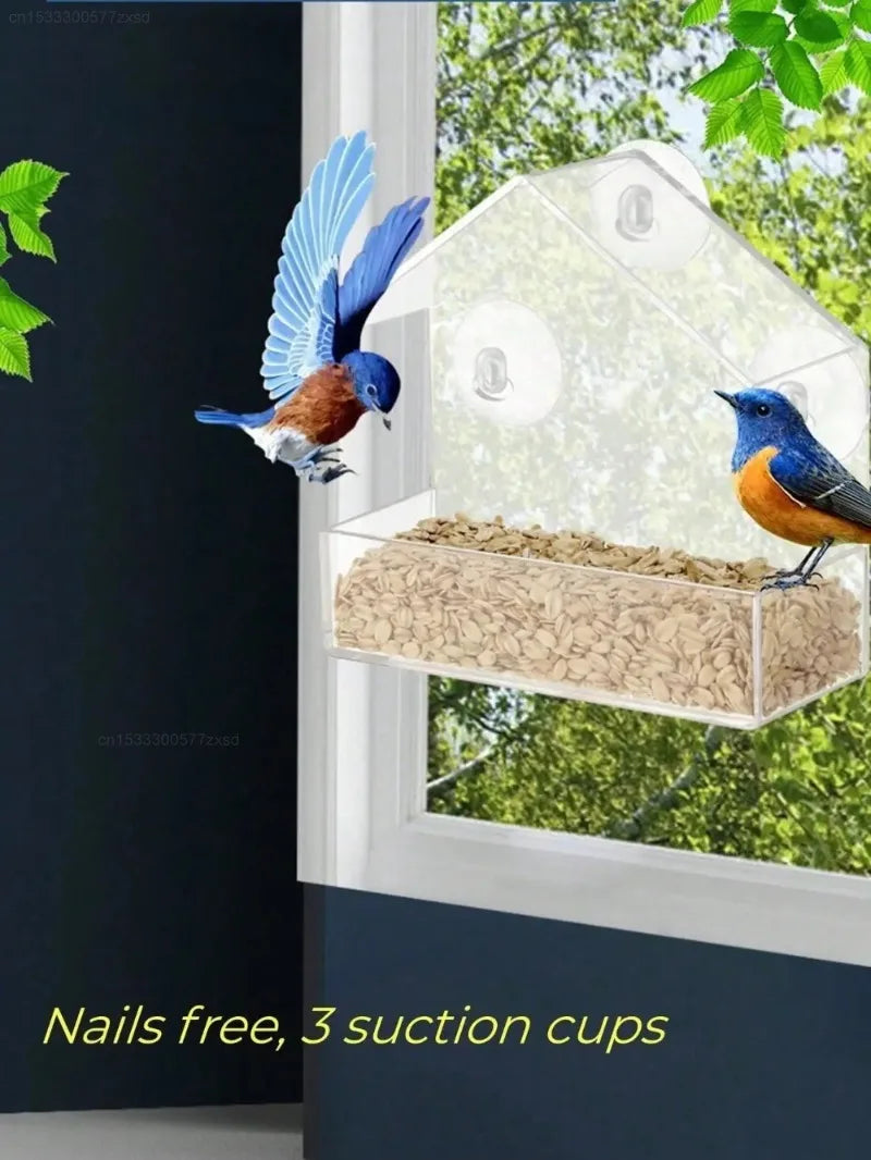 Clear window hanging bird feeder with three suction cups for outdoor wildlife