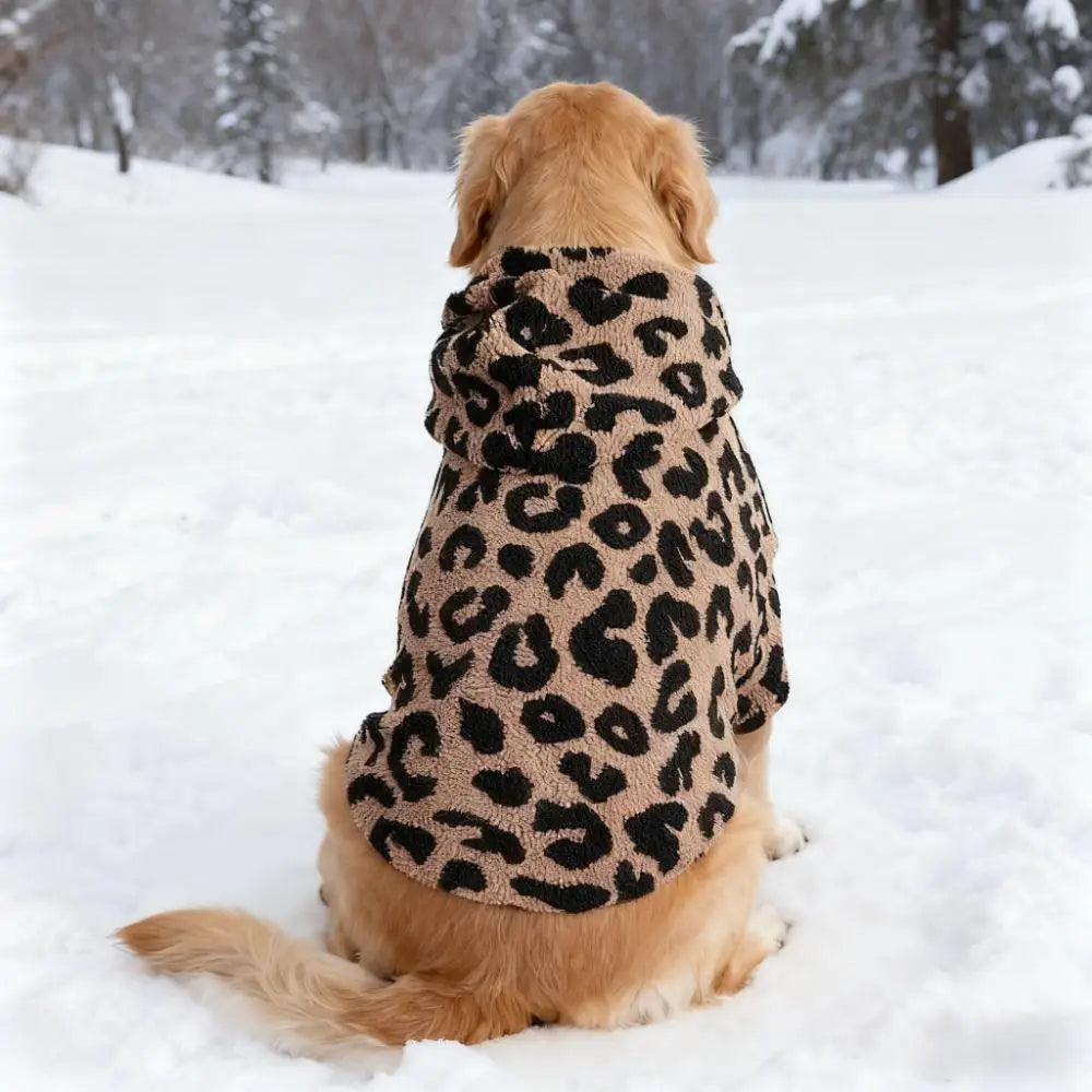 A golden retriever wearing a leopard print fleece dog hoodie lies in the snow.