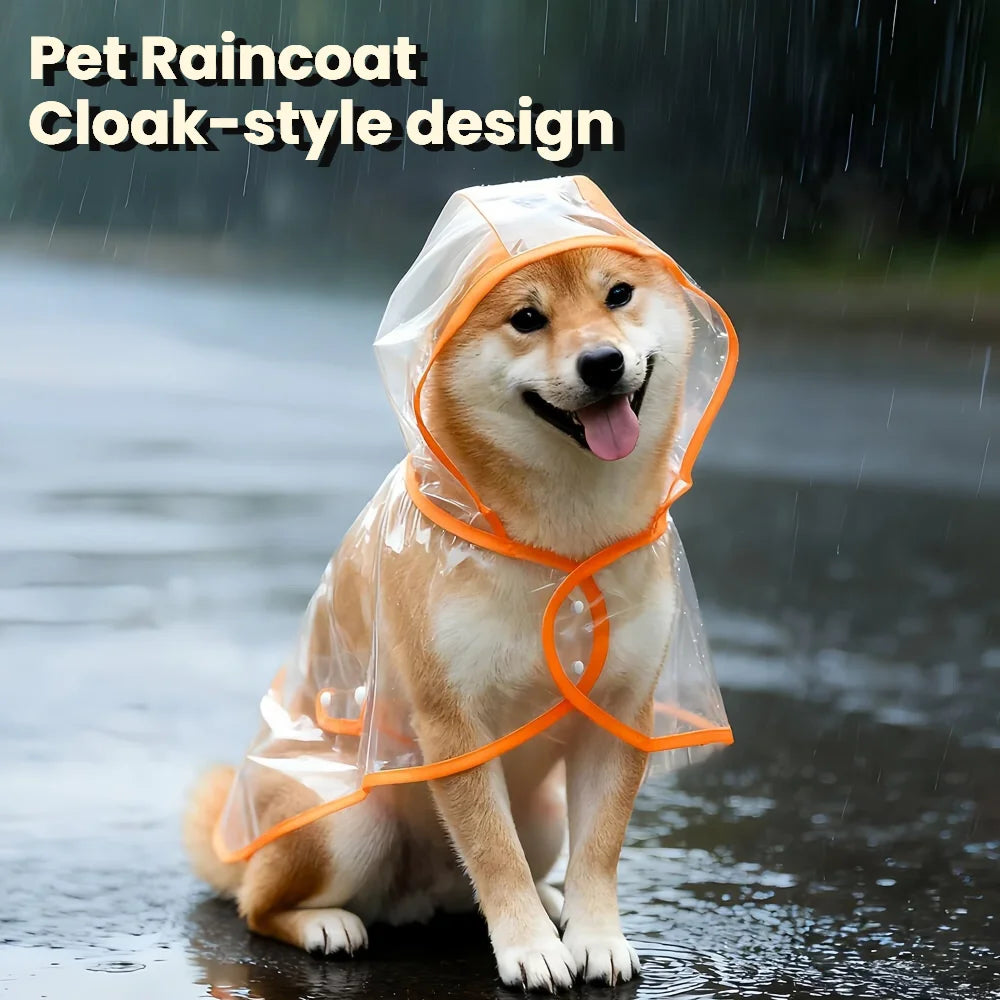 Un chien doré portant un imperméable transparent avec des bordures orange, debout sous la pluie.