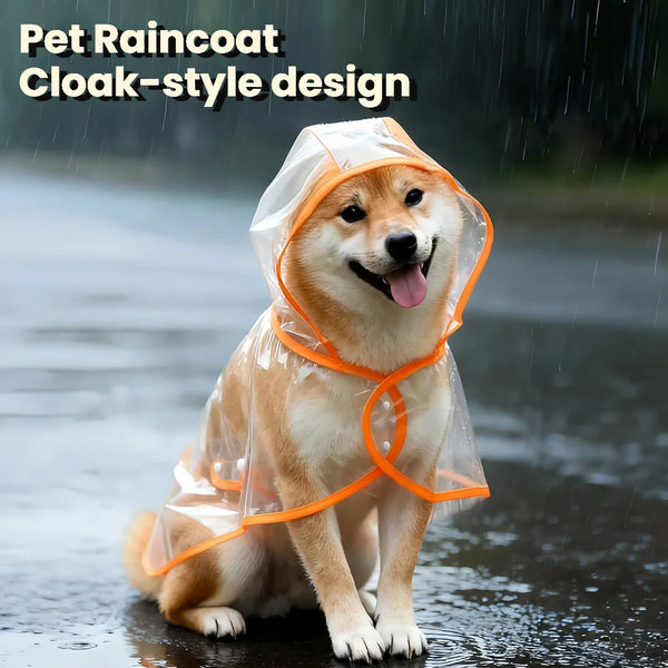 Un chien doré portant un imperméable transparent avec des bordures orange, debout sous la pluie.