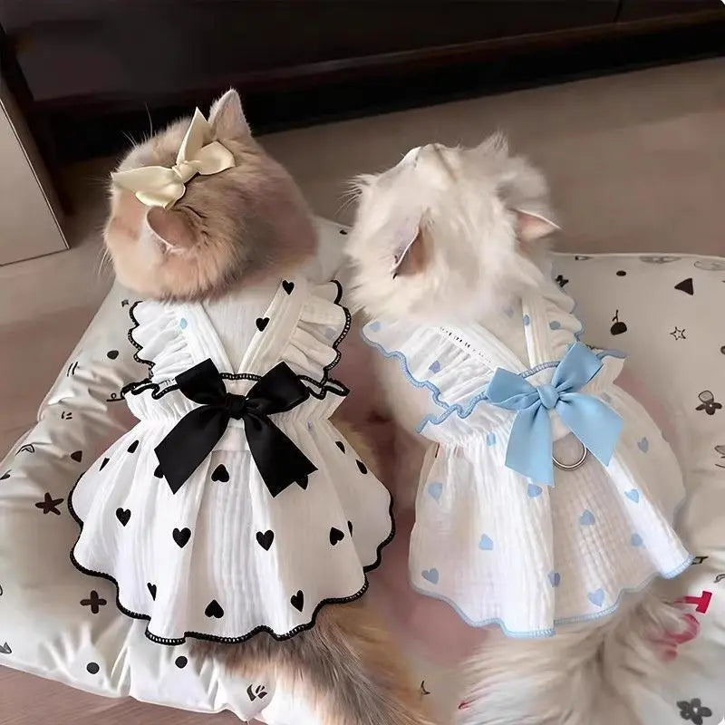 A fluffy white cat and a fluffy white dog wearing matching summer bow print dresses.