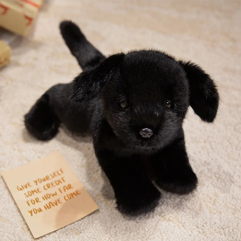 A small black plush dog toy resembling a puppy is lying on a light-colored surface next to a card.