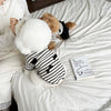 Striped Pet Dress for Small Dogs