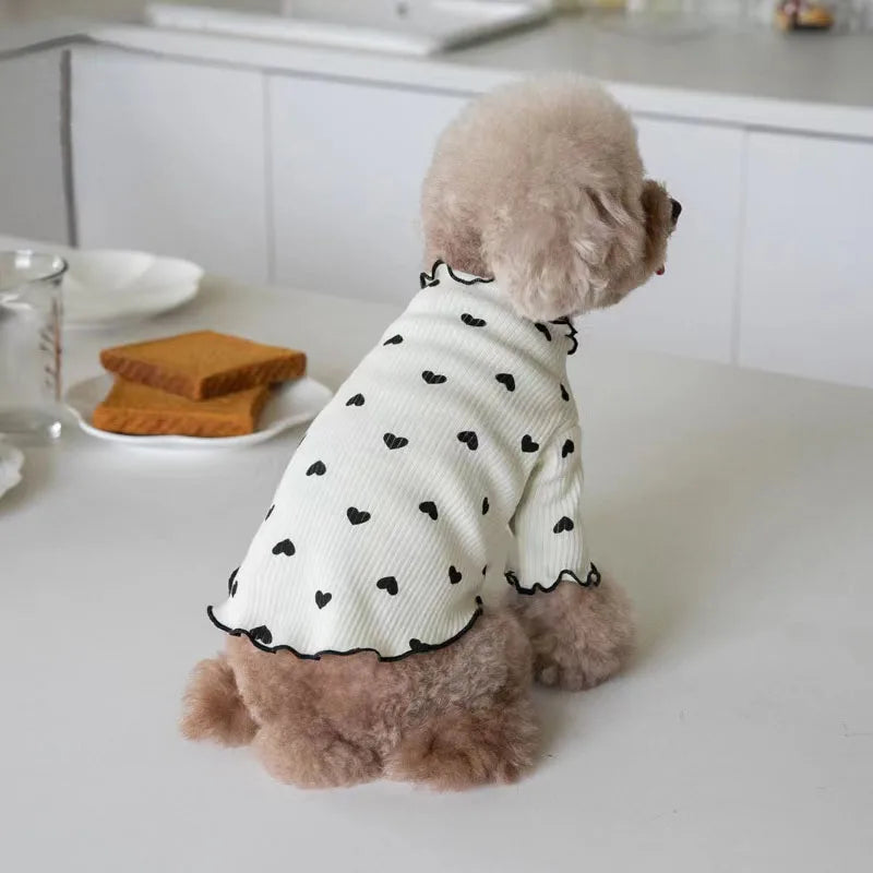Ein flauschiger brauner Hund mit weißer Weste mit schwarzen Herzen sitzt auf einem weißen Tisch.