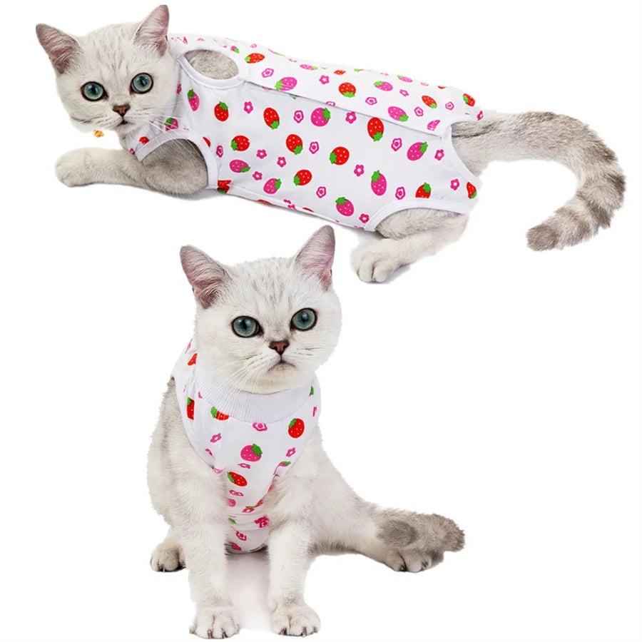 A fluffy gray cat wearing a white vest patterned with red strawberries.