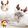 Un gato blanco lleva un traje navideño con Santa, astas de ciervo y accesorios de cachorro.