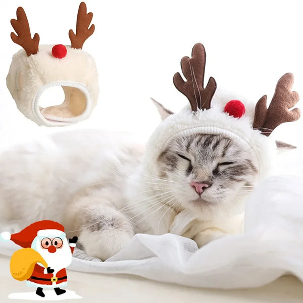 A white cat is wearing a holiday costume set featuring Santa, elk antlers, and puppy accessories.
