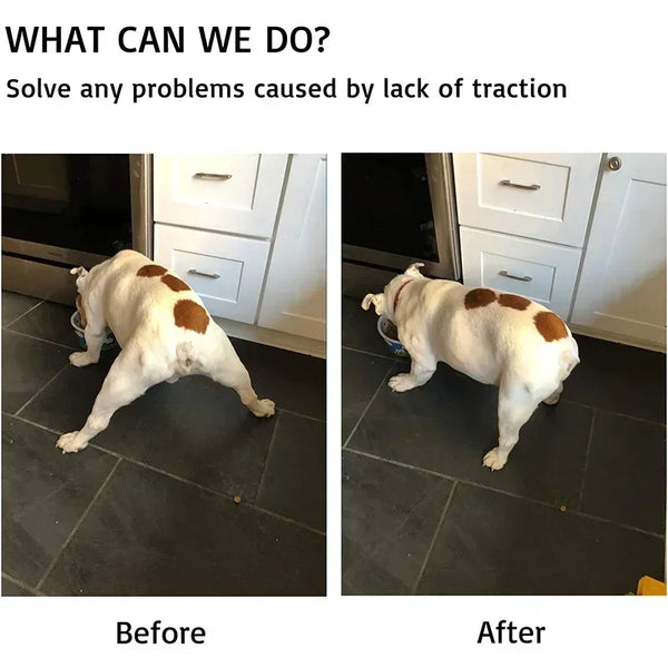 Before and after comparison showing a dog's paw with anti-slip protectors applied.
