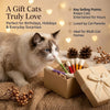 A fluffy gray and white cat is looking at an interactive cat teaser wand set with catnip toys placed in a gift box.