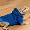 A bearded dragon wearing a blue hooded sweatshirt and tan skin, resting on a wooden surface.