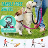 A dog is walking on a green lawn with a leash attached to a dog, demonstrating a tangle-free swivel feature.