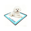 A fluffy white dog lies on a square silicone pad designed for indoor training.