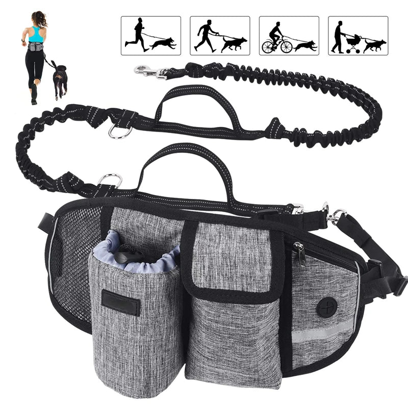 A black hands-free dog walking belt with storage pockets and a bungee leash is shown alongside various dog walking accessorie