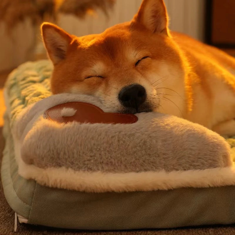 An orange Shiba Inu dog is sleeping on a light green orthopedic memory foam dog bed.