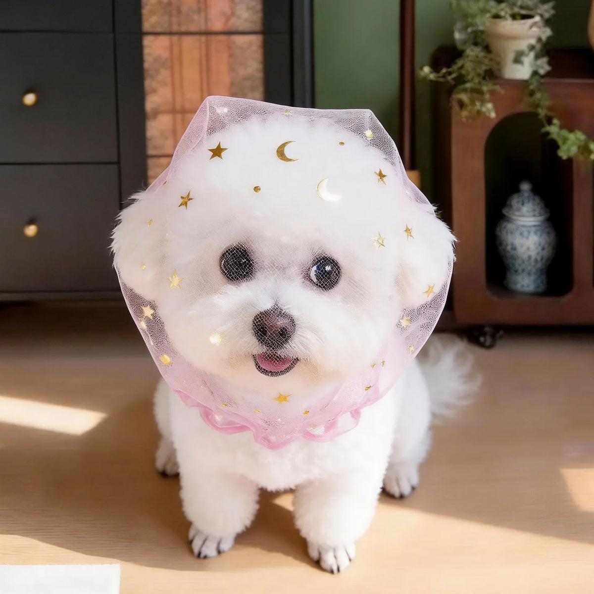 Un perro blanco esponjoso con un collar de malla rosa transparente decorado con estrellas doradas y lunas crecientes.