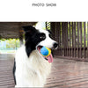 Ein schwarz-weißer Hund hält eine gelbe Ball spielerisch im Maul im Freien.