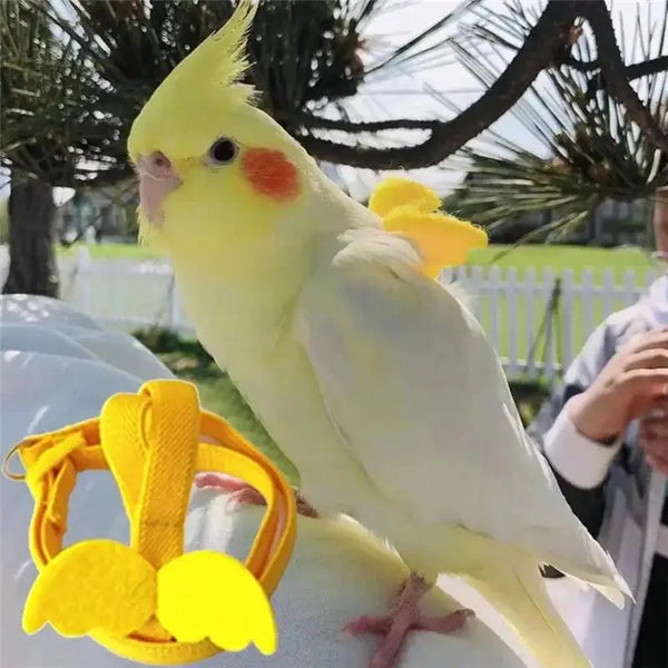 A yellow parrot bird wearing a bright yellow harness and leash set.