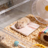 Ein kleiner, hellbrauner Hamster ruht auf einer pinken Kühlmatte in einem klaren Gehege.