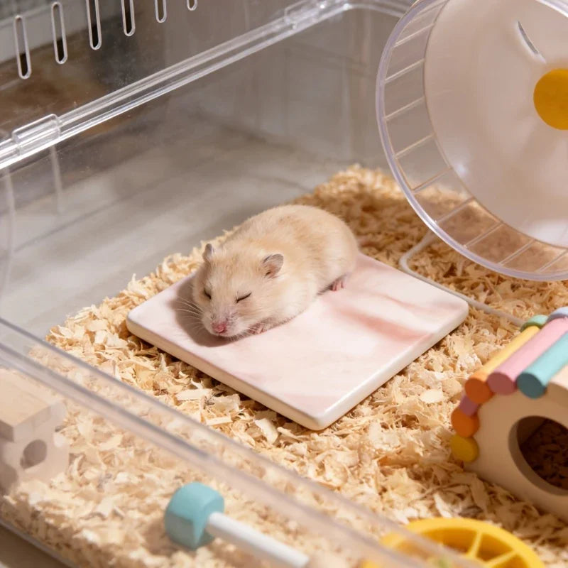 Ein kleiner, hellbrauner Hamster ruht auf einer pinken Kühlmatte in einem klaren Gehege.