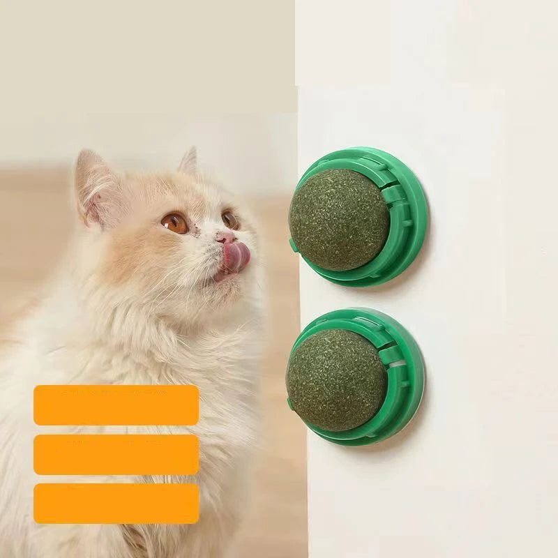 A fluffy cat is looking at two green catnip balls attached to a white wall.