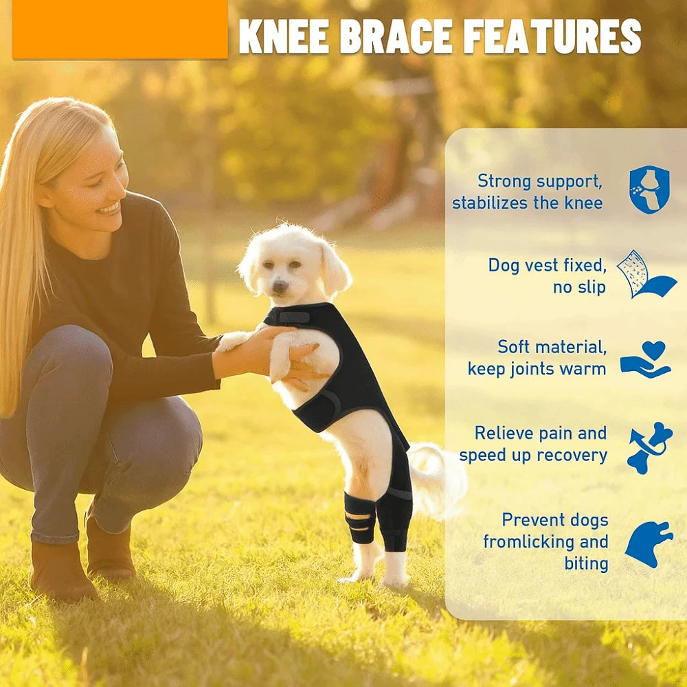 A woman is holding a golden retriever puppy wearing a black knee brace, demonstrating the features of the dog knee brace.