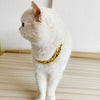 Eine weiße Katze mit einem goldfarbenen, verstellbaren Halsband-Anhänger.