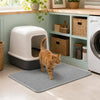 An orange tabby cat walks on a gray honeycomb texture litter mat in a light green kitchen area.