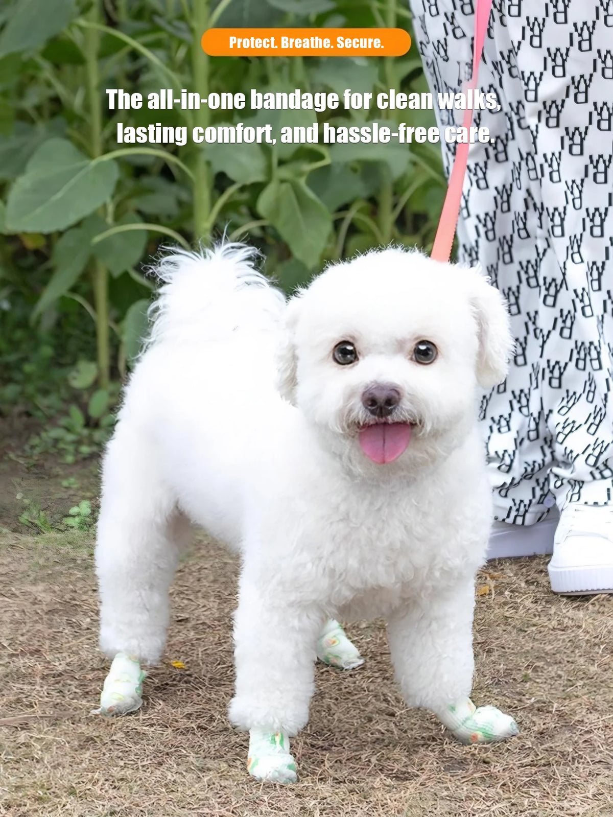 A white poodle wearing a self-adhesive dog paw protector bandage on its feet.