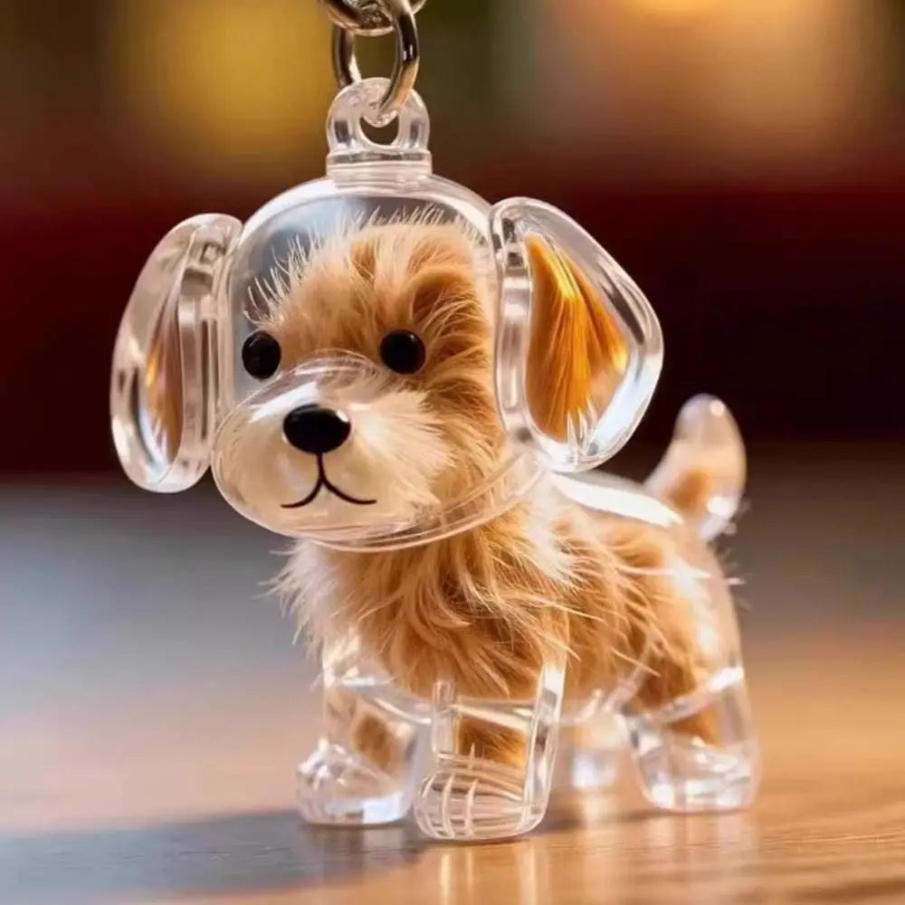 Llavero de plástico transparente con dibujo de perro de pelo, cachorro dorado y esponjoso.