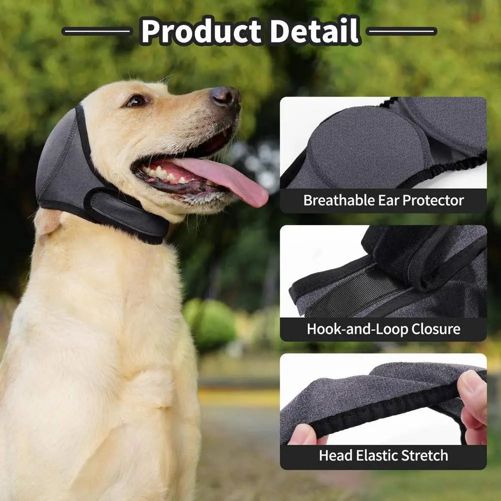 A light-colored dog is wearing a black breathable ear protector with a hook-and-loop closure and head elastic stretch.