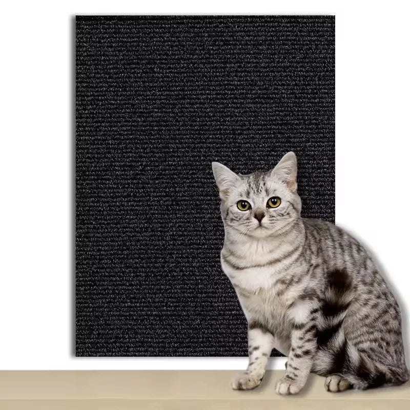 Eine tabbykatze sitzt auf einem dunklen Teppich