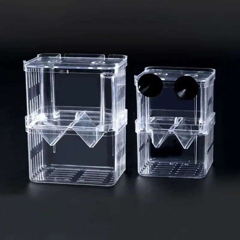 Clear acrylic fish breeding isolation boxes with openings for breeding
