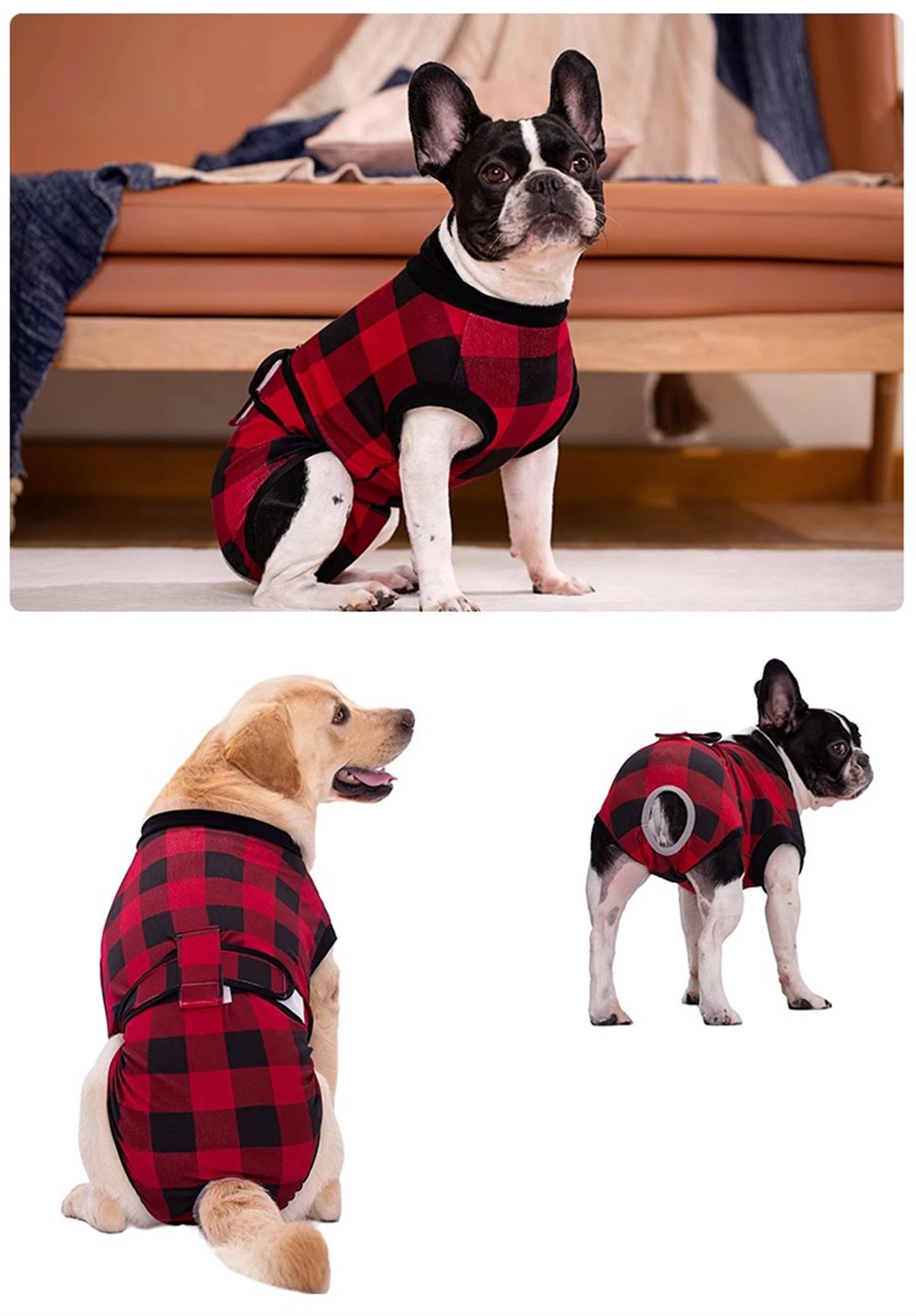 A black and white dog is wearing a red and black plaid recovery suit for post-surgery protection.