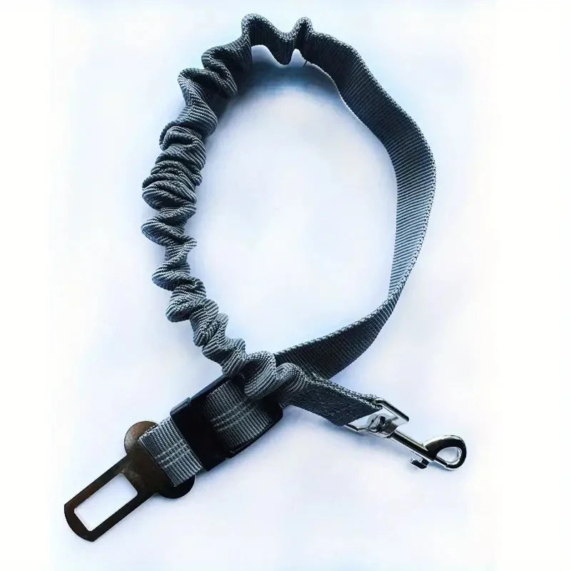 A close-up of a gray nylon harness and seat belt for a dog, showing the adjustable strap and buckle.