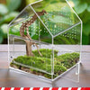Caja de reproducción de reptiles de acrílico transparente con paisaje natural y hábitat de rama de madera.