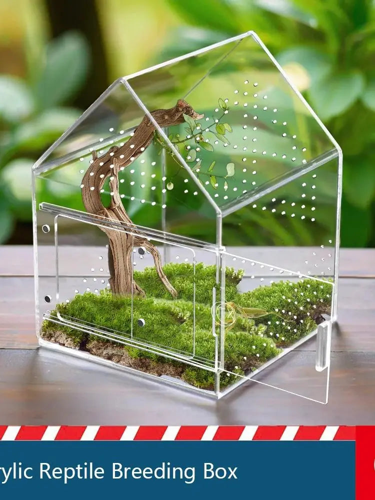 Caja de reproducción de reptiles de acrílico transparente con paisaje natural y hábitat de rama de madera.