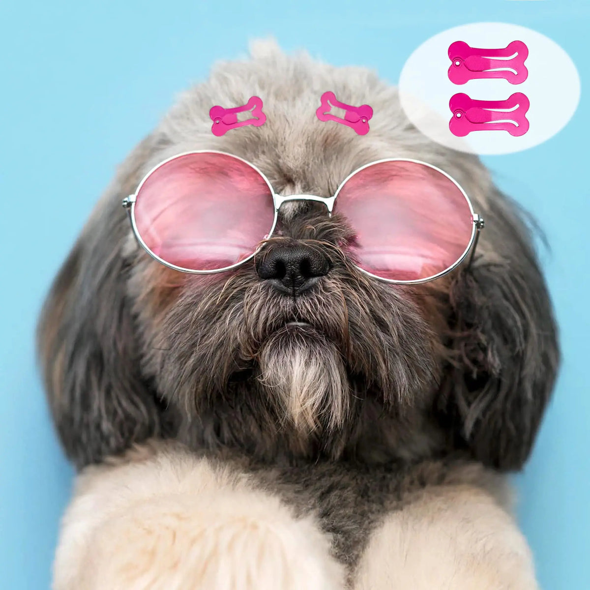 Nahaufnahme eines Hundes mit rosa Haarbändchen auf der Stirn.
