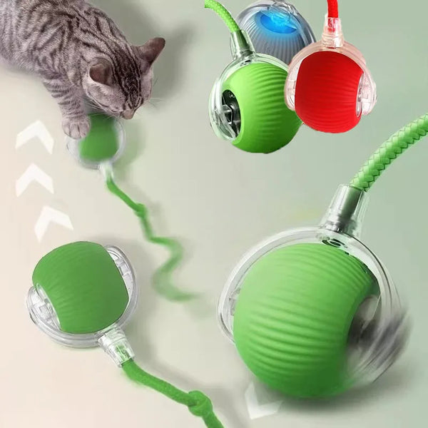 A gray kitten is interacting with several green and red interactive cat toys, including a ball and a string.