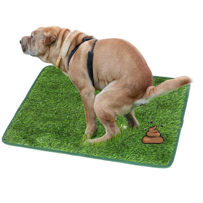 A light brown dog is standing on a green artificial grass training mat with a dog poop toy.