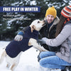 A man and a woman are playing happily in the snow with a dog wearing a navy blue fleece sweater.