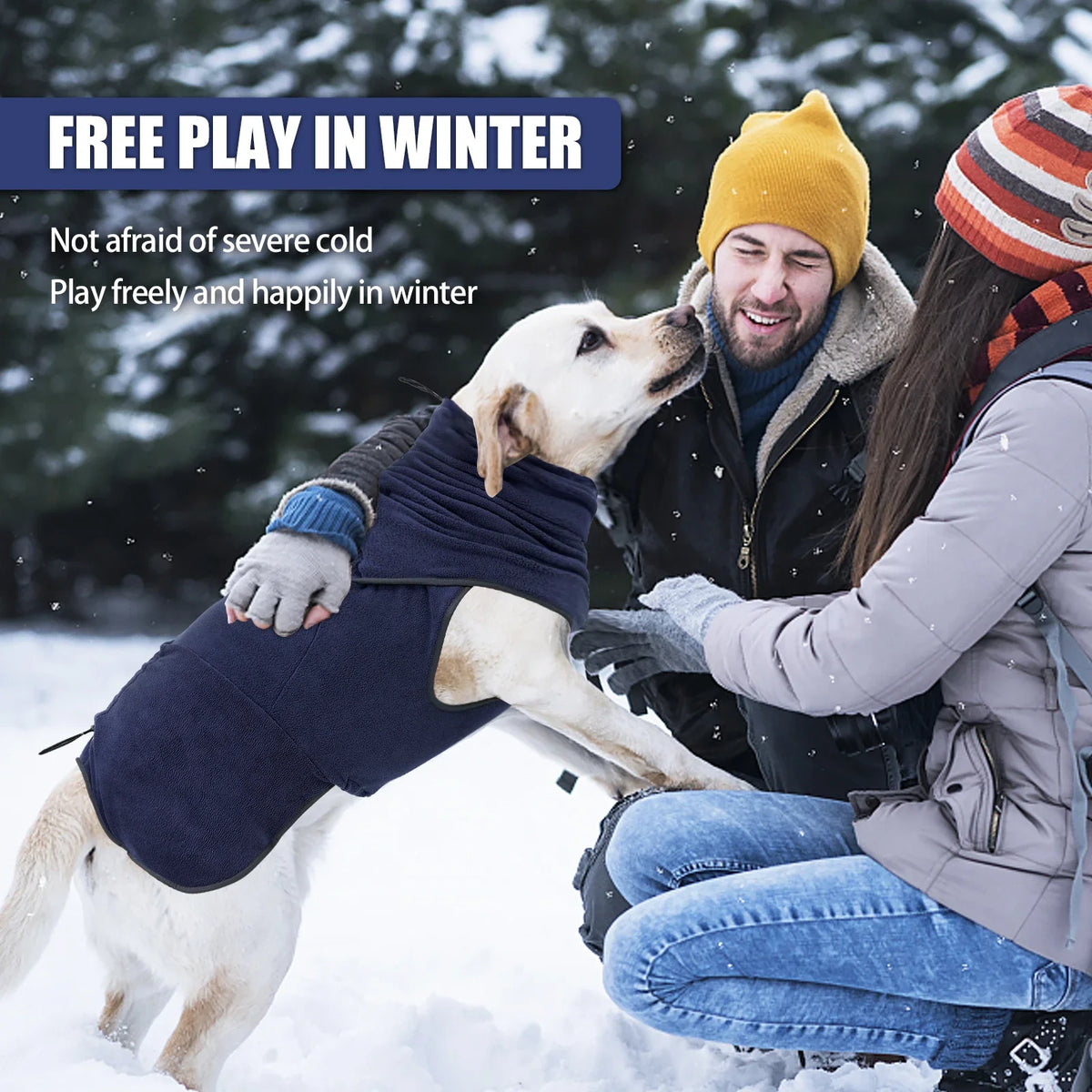 A man and a woman are playing happily in the snow with a dog wearing a navy blue fleece sweater.