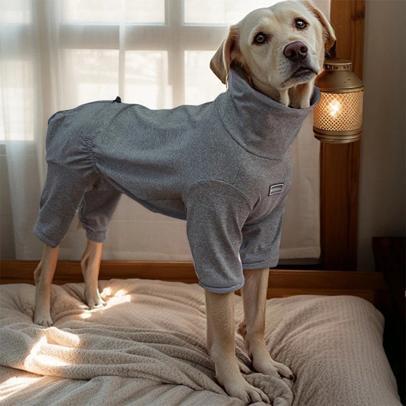A light gray dog wearing a cozy high-collar pajama suit standing next to a lamp.