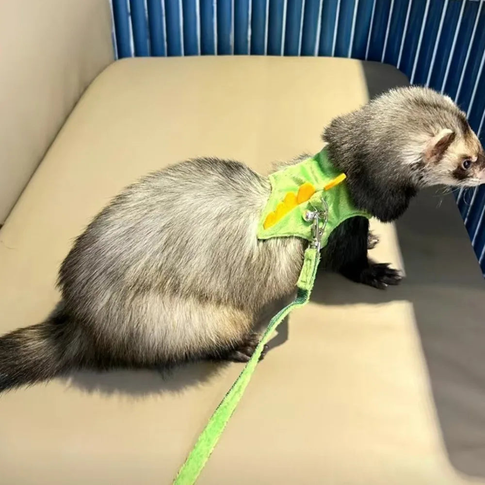 A gray pet is wearing a neon green harness with yellow accents on a light-colored surface.