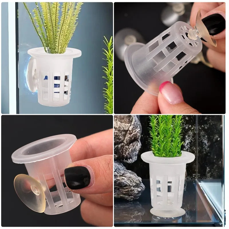 Clear plastic aquarium planting cups used to hold and plant aquatic plants.